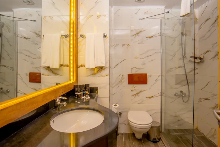 Standard Room bathroom
